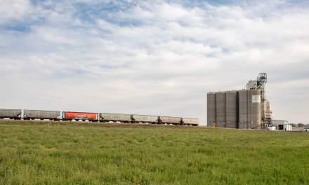 “Grain train”