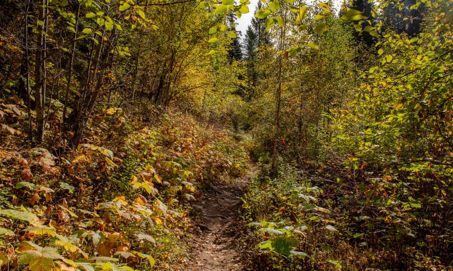 Hiking to Cedar Lake