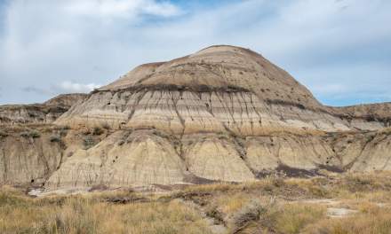 Horseshoe Canyon II
