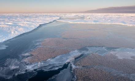 Ice on the Fram Strait, October 2026 II