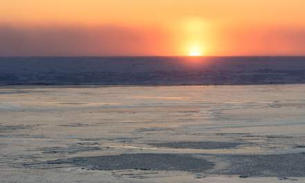 Ice on the Fram Strait, October 2026 IV