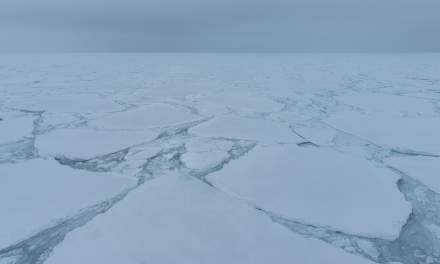In the ice I