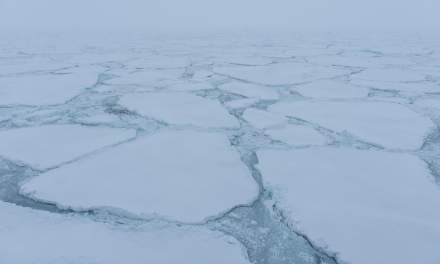 In the ice II