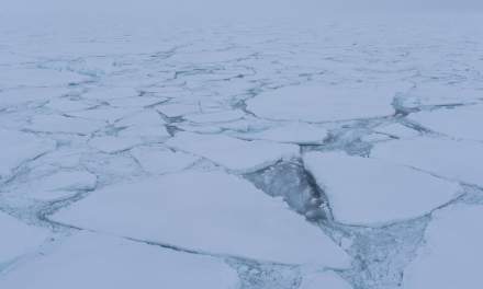 In the ice III