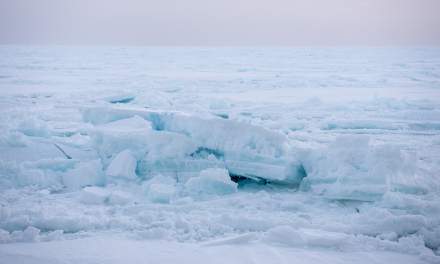 In the ice IV
