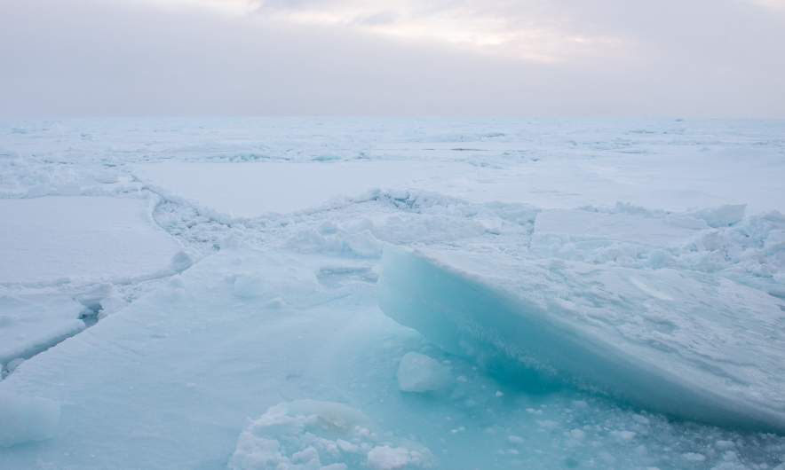 In the ice V