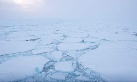 In the ice VI