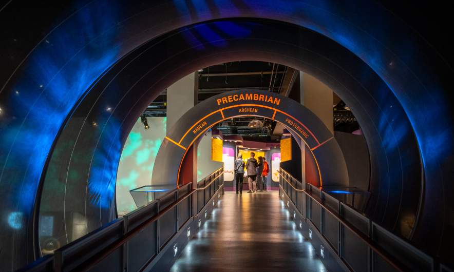 Inside Royal Tyrrell Museum V