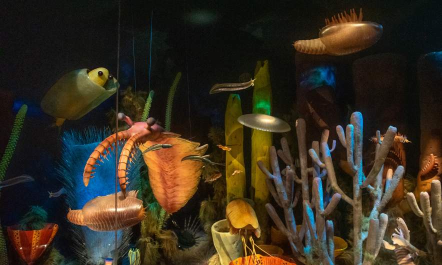 Inside Royal Tyrrell Museum VI