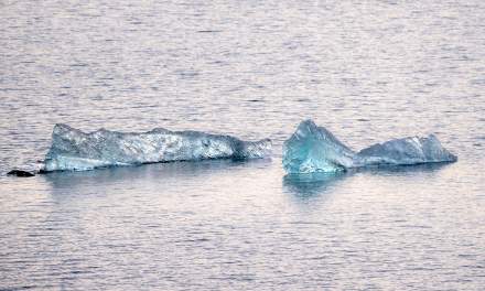 Kongsfjorden VIII