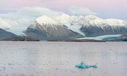 Kongsfjorden X
