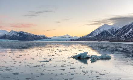 Kongsfjorden XIII
