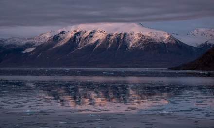 Kongsfjorden XXVI