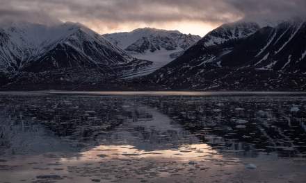 Kongsfjorden XXVII