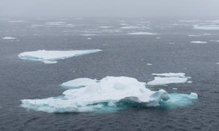 The marginal ice zone I