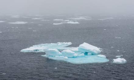 The marginal ice zone II
