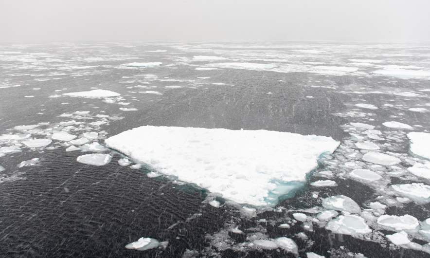 The marginal ice zone III