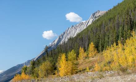 Medicine lake III
