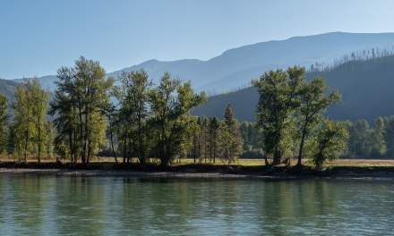 North Thompson river II