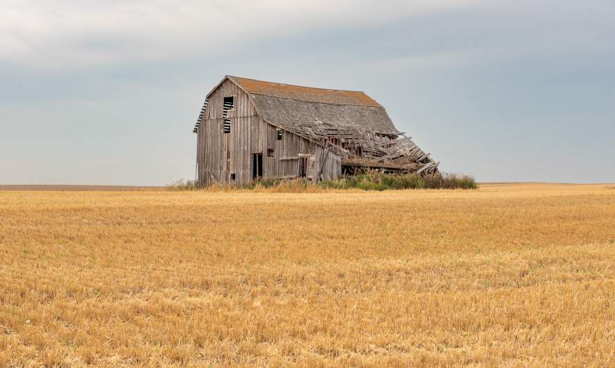 On the fields II
