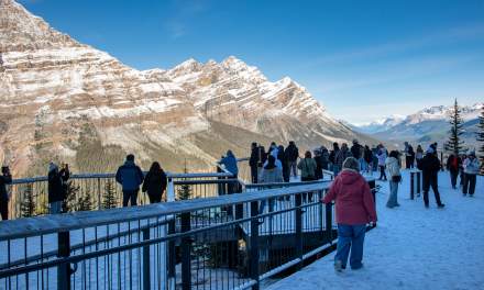 Peyto Lake Viewpoint