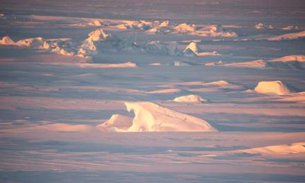 Snow covered ice floe – details I