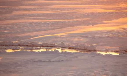 Snow covered ice floe – details II