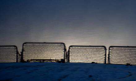Snowy evening
