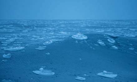 The first sea ice I