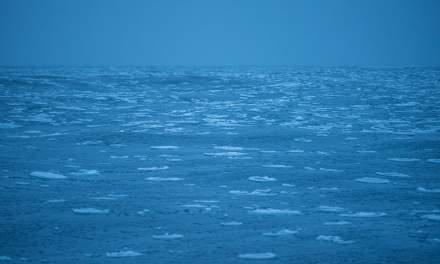 The first sea ice II