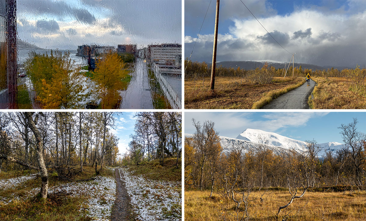Four autumnal pictures › Way up north