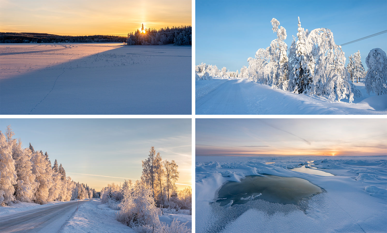From inland to coast – a cold car ride › Way up north